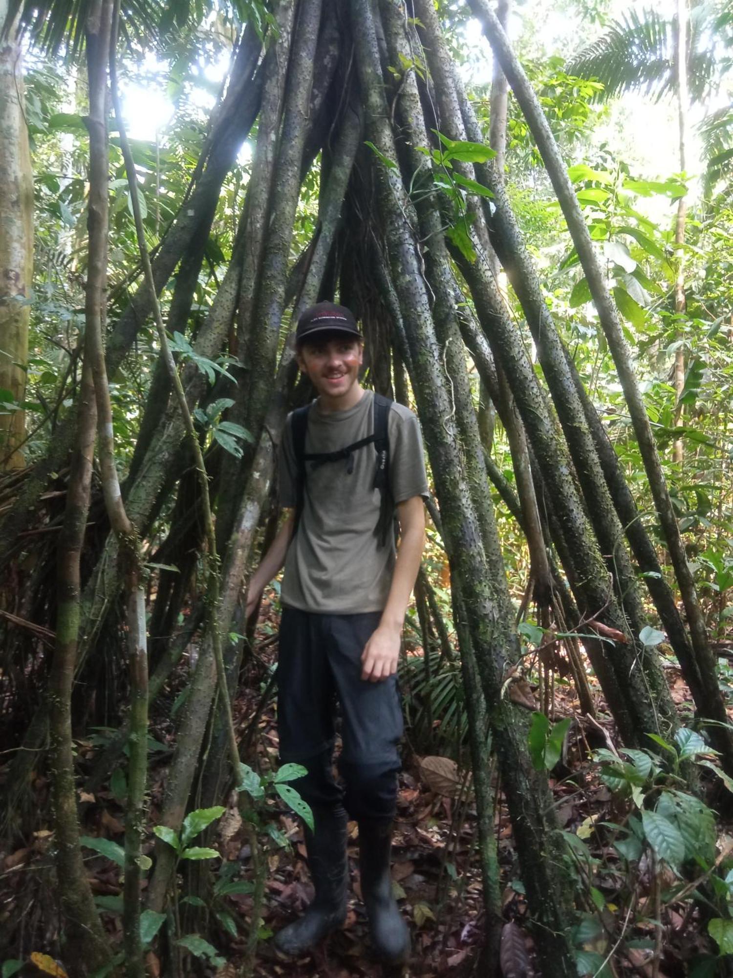 Hostal Buho Amazonas Tours เลติเซีย ภายนอก รูปภาพ