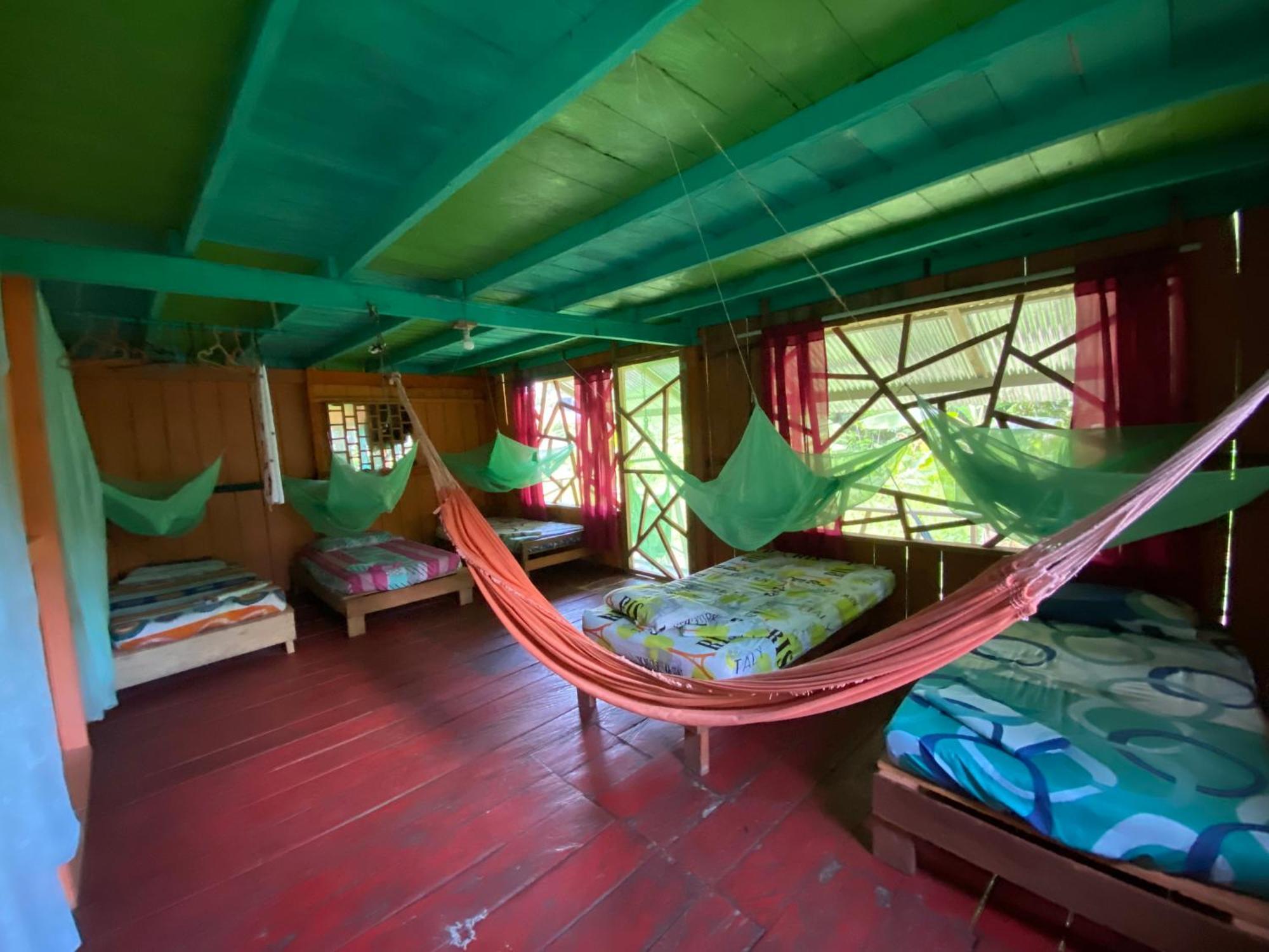 Hostal Buho Amazonas Tours เลติเซีย ภายนอก รูปภาพ